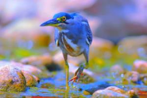 意甲联赛篮球赛程表全解析,了解2023赛季赛程安排意甲联赛篮球赛程表