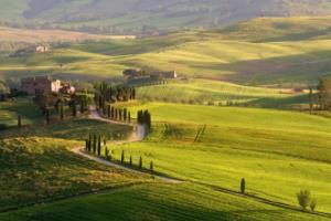 意甲决赛第4场,朱婷的精彩表现与球队的挑战朱婷意甲联赛决赛第4场